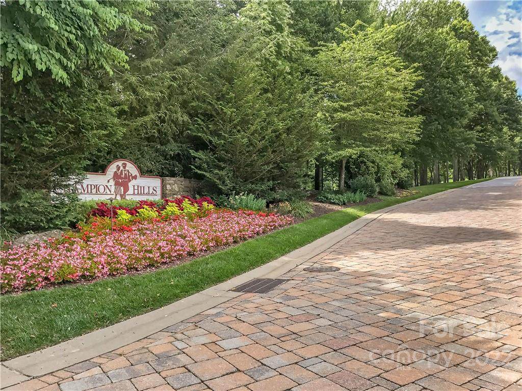 TBD Blackgum Court - Photo 1