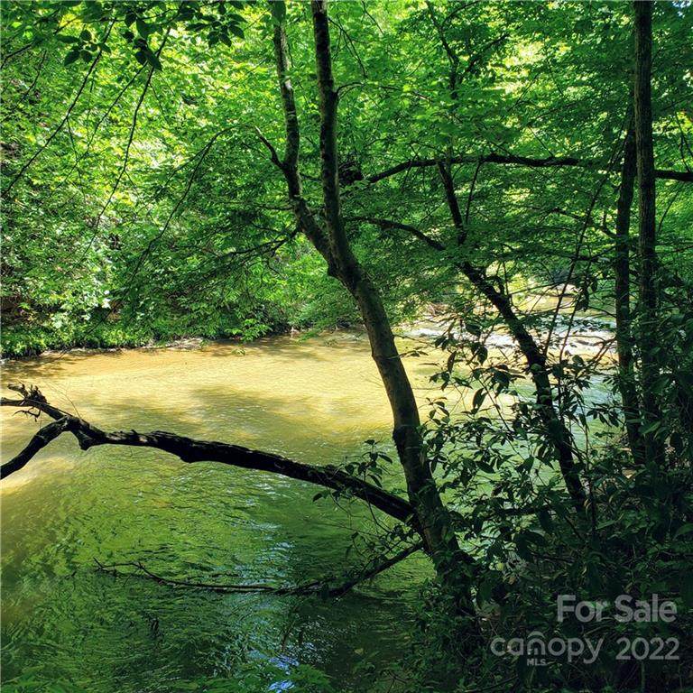 Lot 5 Appaloosa Lane - Photo 1