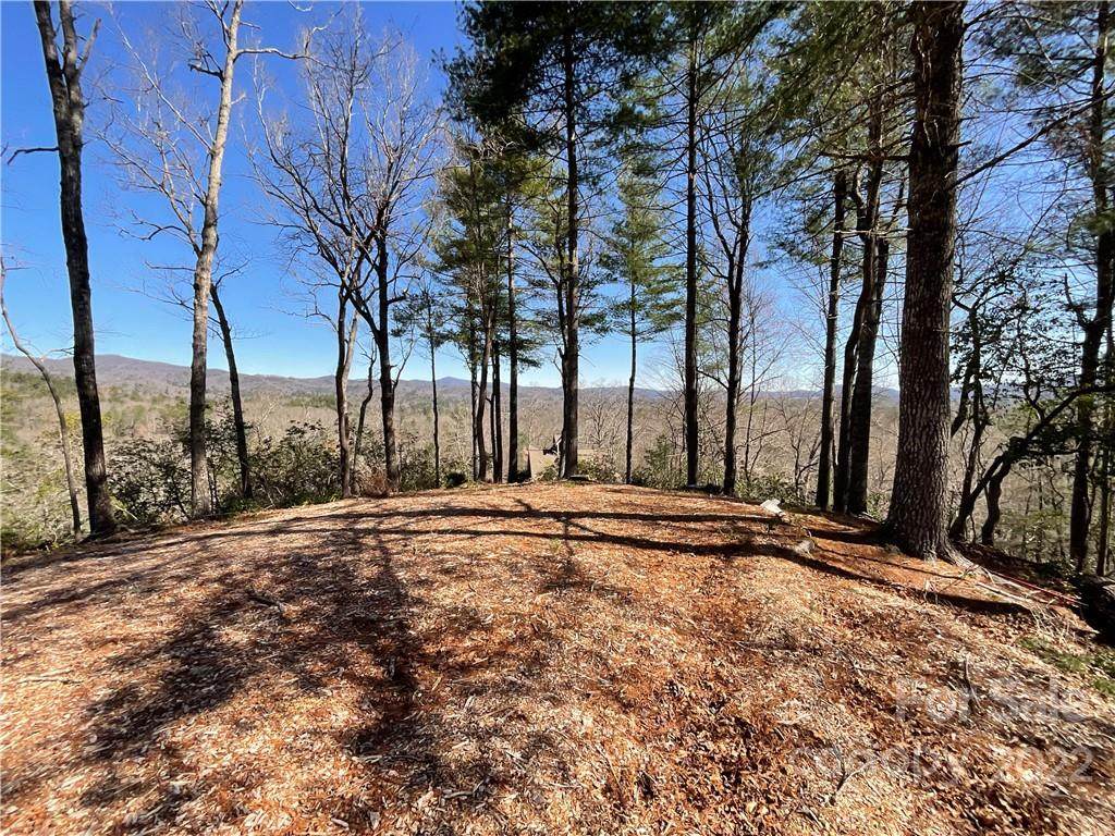 Lot 10 South Hill Drive - Photo 1