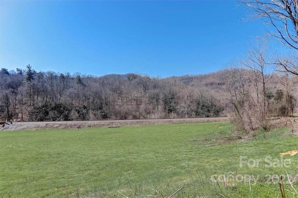 9999 Smokey Park Highway - Photo 1