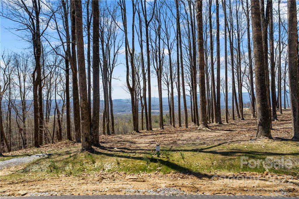 LOT 71 Mountain Grove Lane - Photo 1