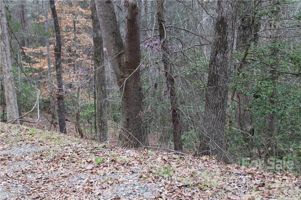 00 Rock Branch Road - Photo 1