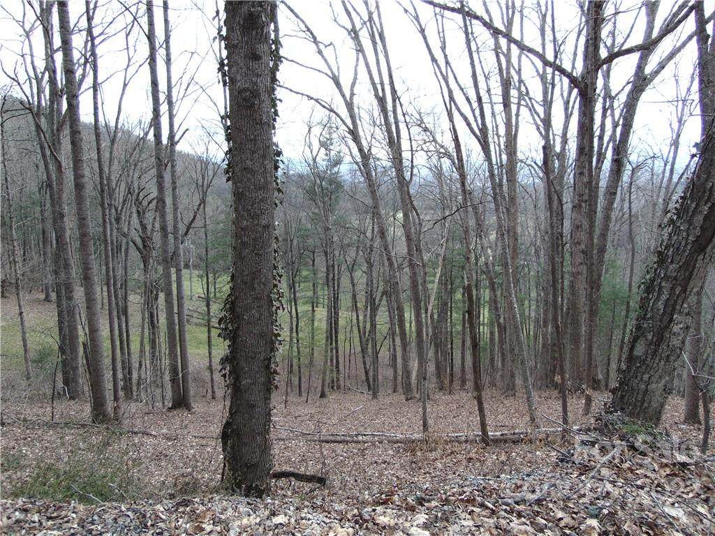 99999 Herron Cove Road - Photo 1