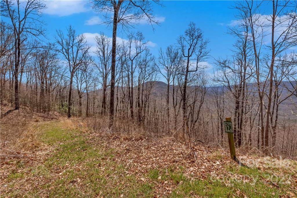 154 High Cliffs Trail - Photo 1