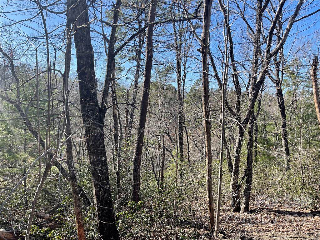 0 Racoon Ridge - Photo 1