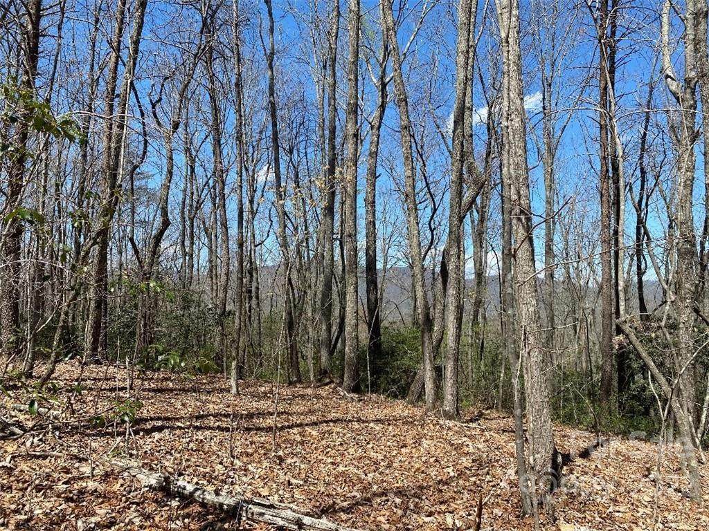 V/L Lytle Mountain Road - Photo 1