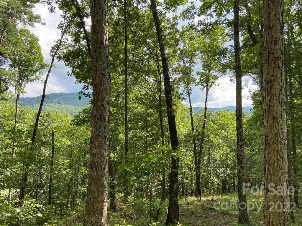 3670 French Broad Parkway - Photo 1