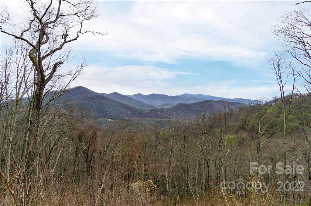 Lot #34 Summit View Road - Photo 1