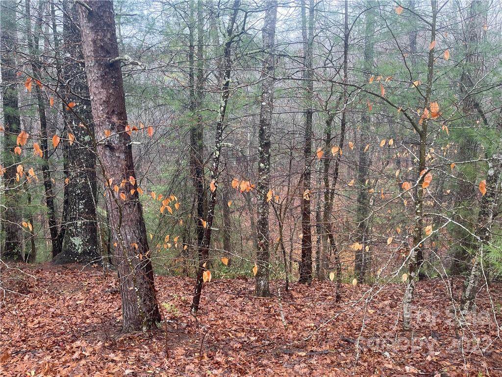 LOT 123 Foxs Trail - Photo 1