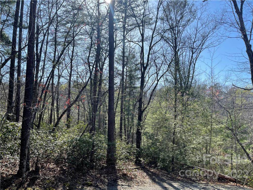 LOT 21 Racoon Ridge - Photo 1