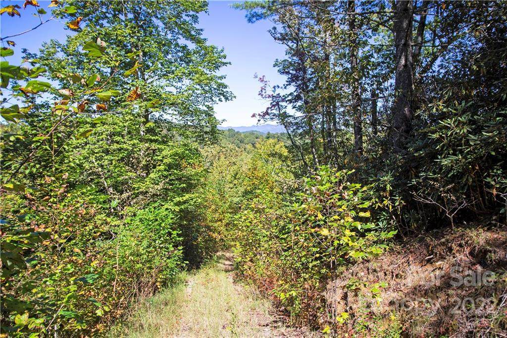 000 Gray Fox Road - Photo 1