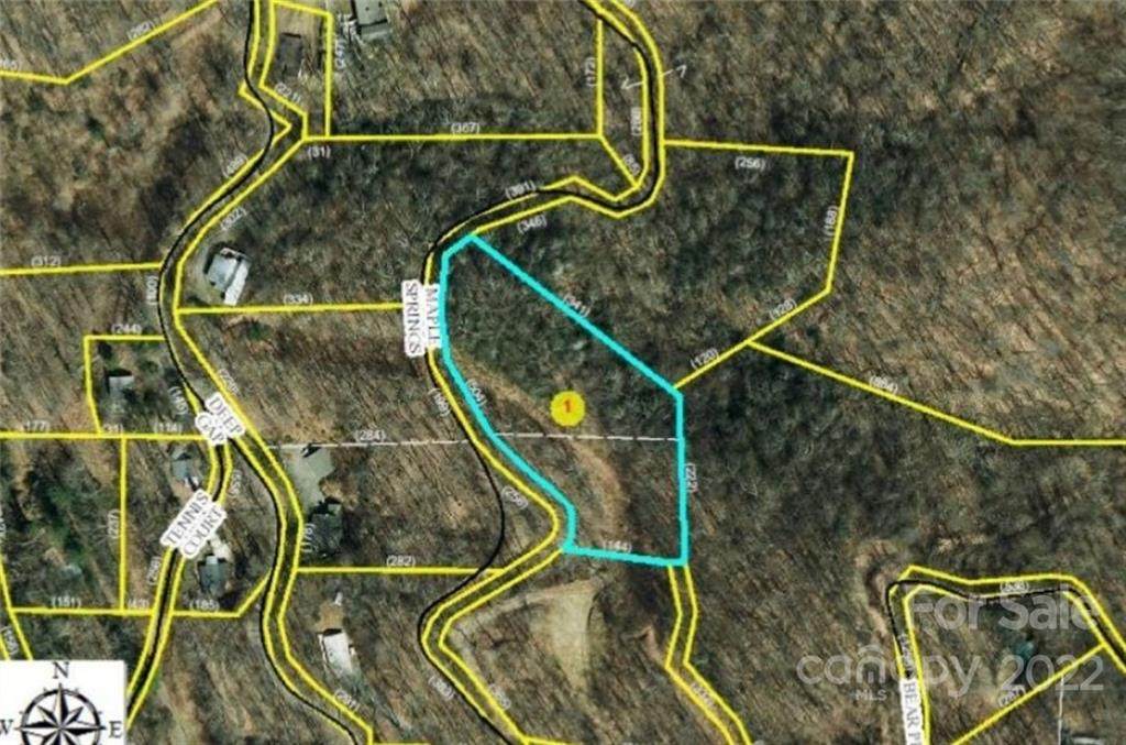 000 Maple Springs Road - Photo 1