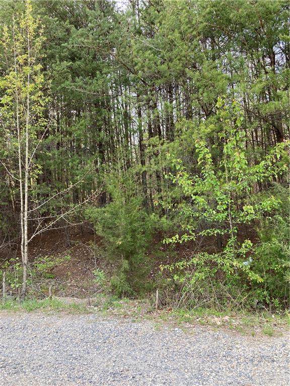430 Wiley Lane - Photo 1