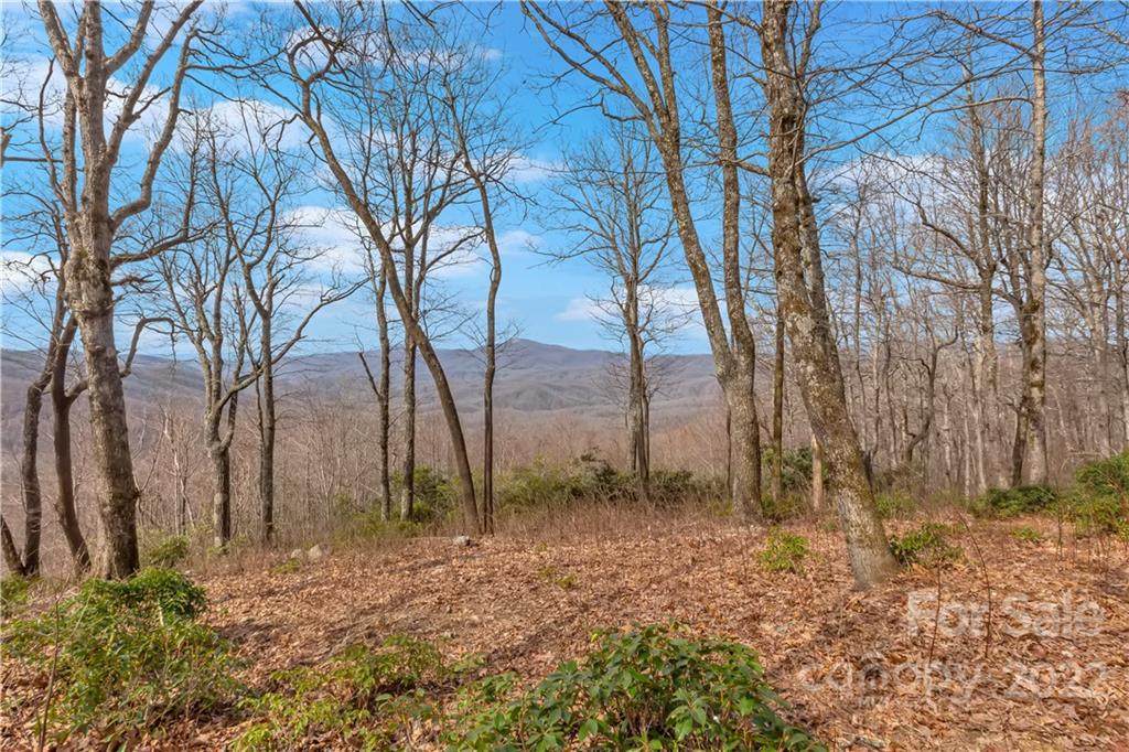 148 High Cliffs Trail - Photo 1