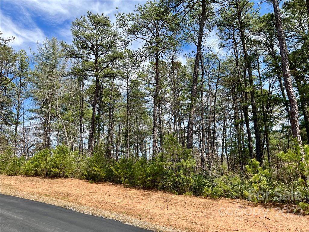 0 John Wilson Lane - Photo 1