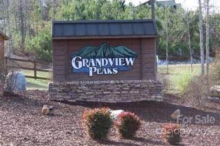 V/L Lot 209 Table Rock Drive - Photo 1