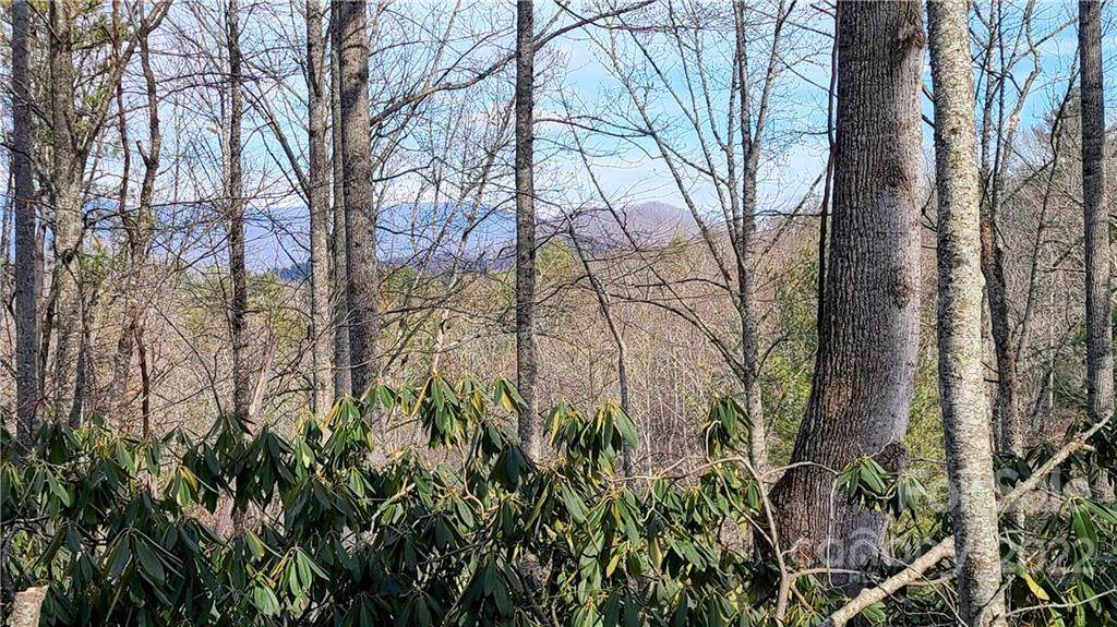 00000 Joe Bailey Road - Photo 1