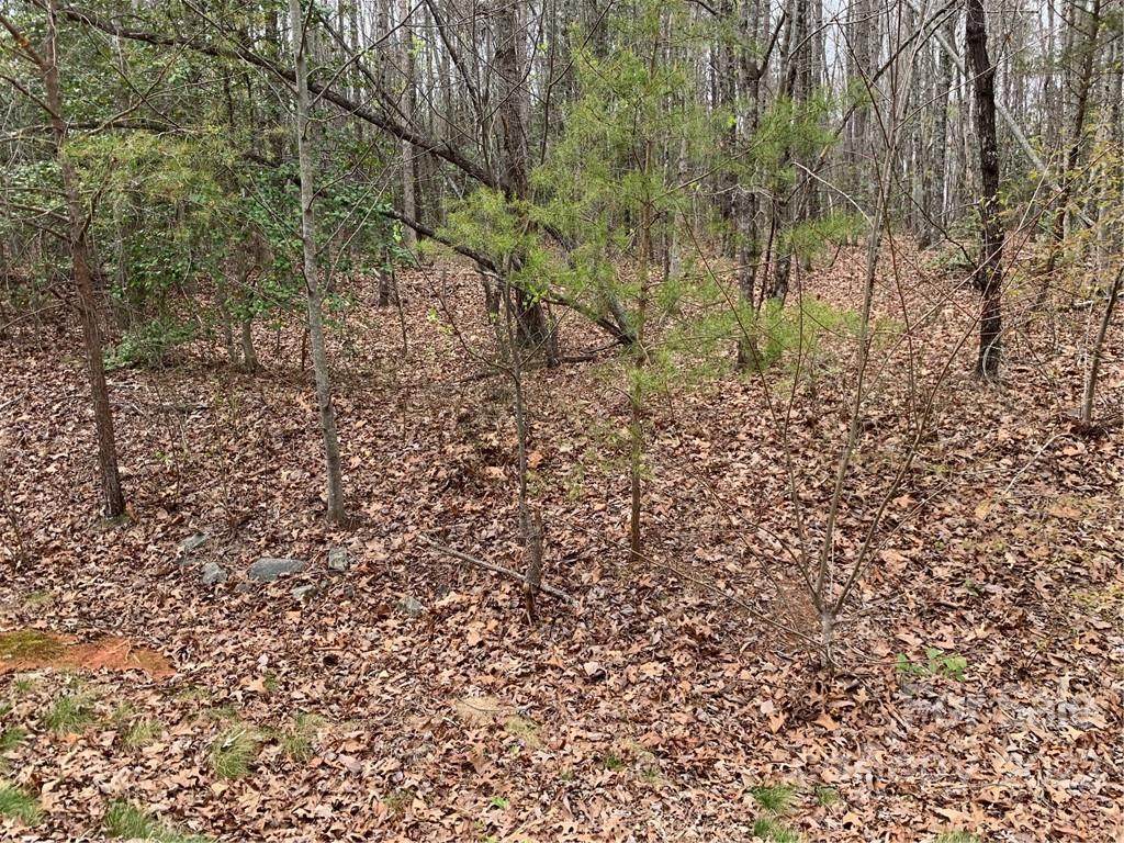 00 White Stone Drive - Photo 1