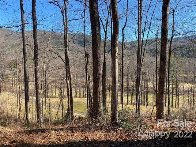 V/L Blue Ridge Drive - Photo 1