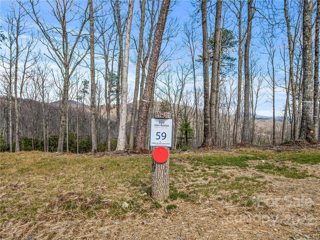 LOT 59 Mountain Grove Lane - Photo 1