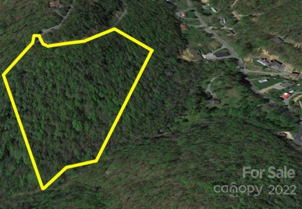 82 Davey Crockett Road - Photo 1