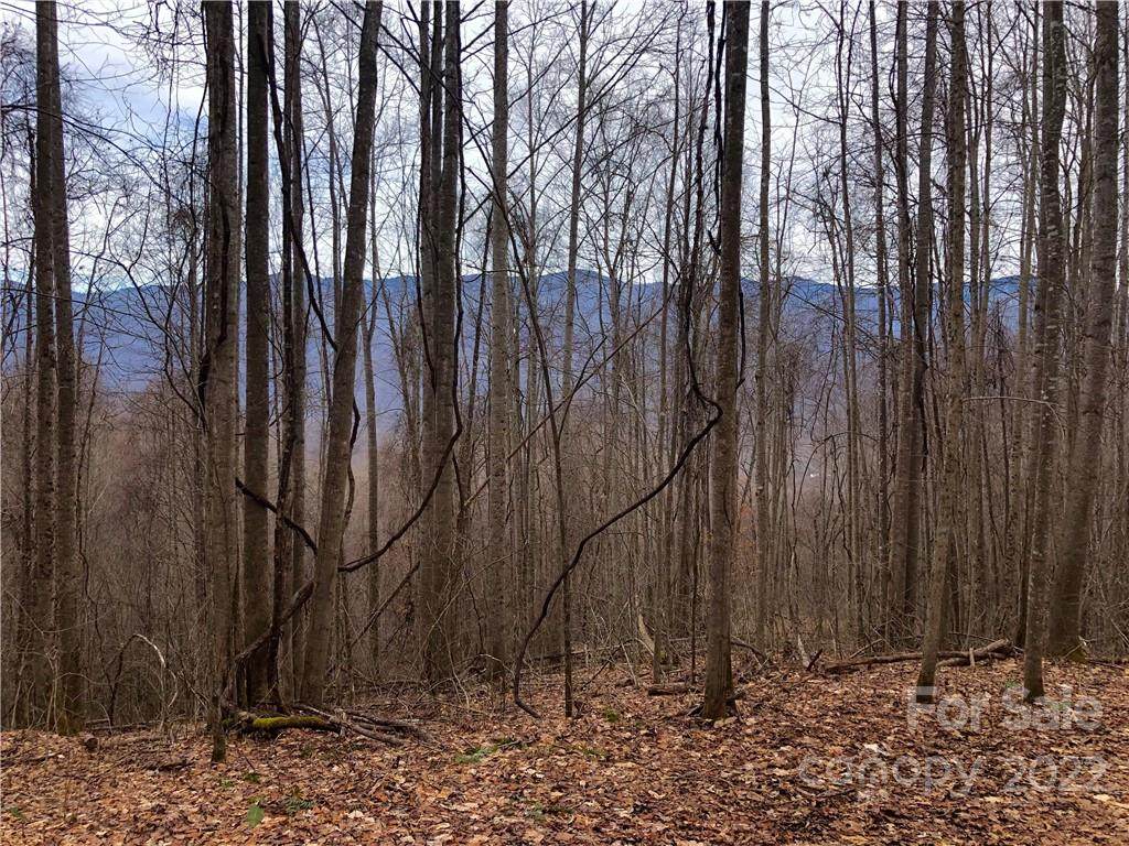 LOT 30 226 High Line Road - Photo 1