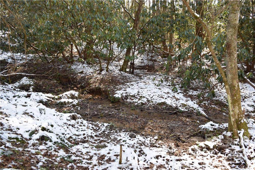 000 Carters Ridge Road - Photo 1