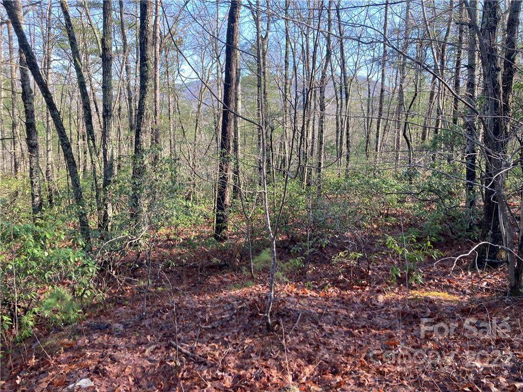 V/L Fox Ridge Trail - Photo 1