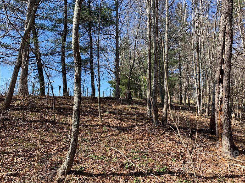 000 Roland Branch Road - Photo 1