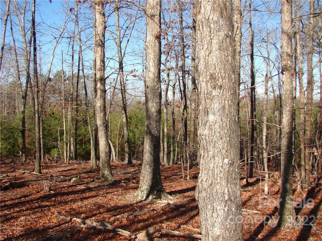 00 Harrill Road - Photo 1