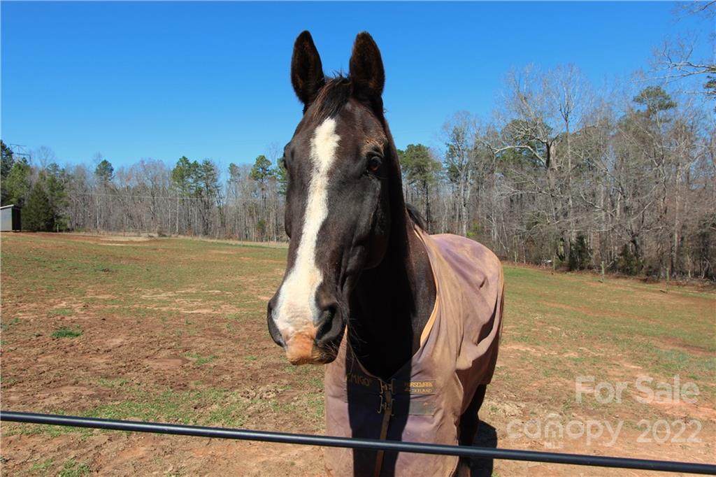 2676 Will Schronce Road - Photo 1