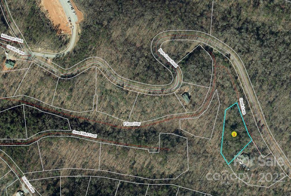 0 Creek Lane - Photo 1
