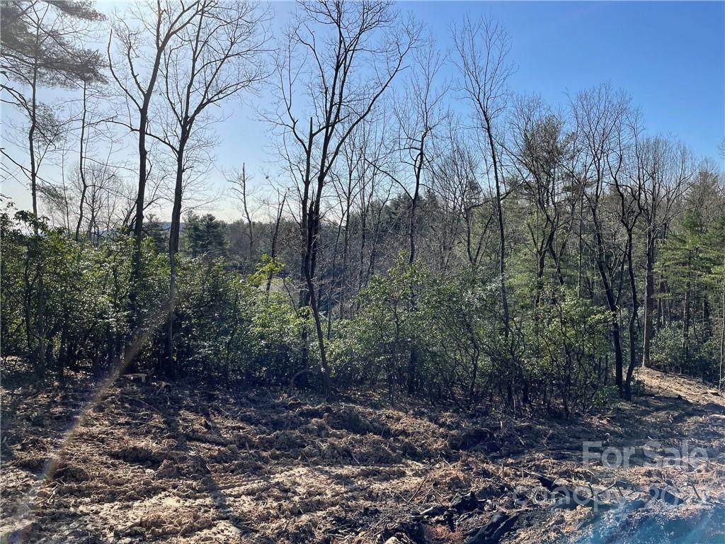 LOT 54 Winterberry Drive - Photo 1