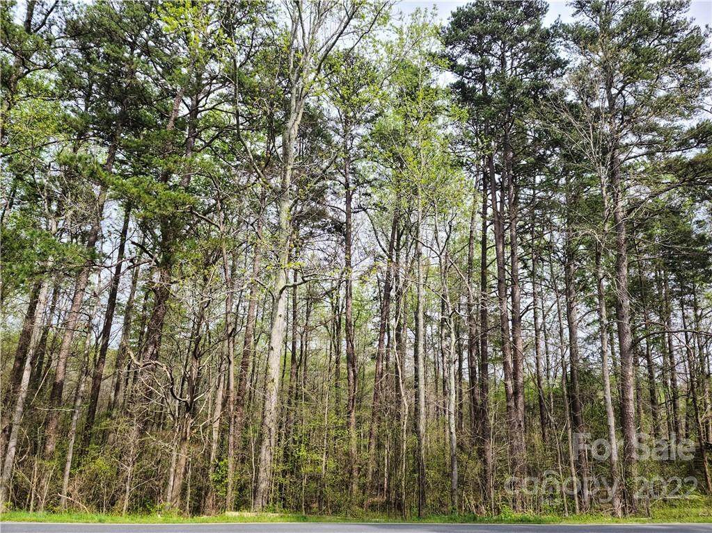 00 Old Concord Road - Photo 1
