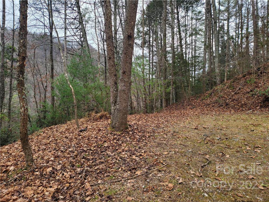 47 Ridge Drive - Photo 1