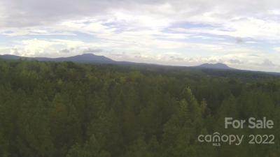 6 acres Crowders Creek Road - Photo 1