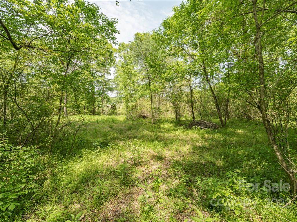 Lot 8 Walkaloosa Way - Photo 1