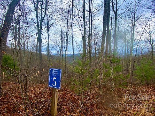 TBD High Peak Drive - Photo 1
