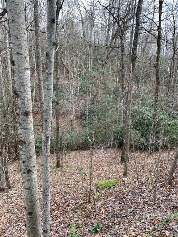 00000 Sand Branch Road - Photo 1