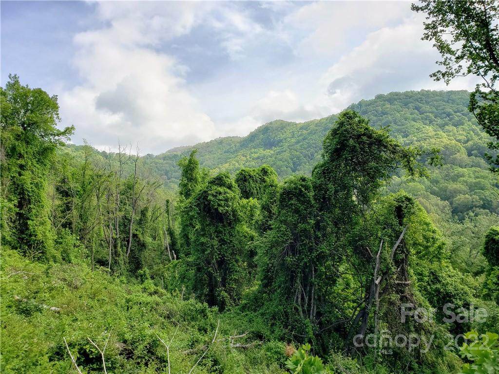 44 Hermitage Ridge - Photo 1