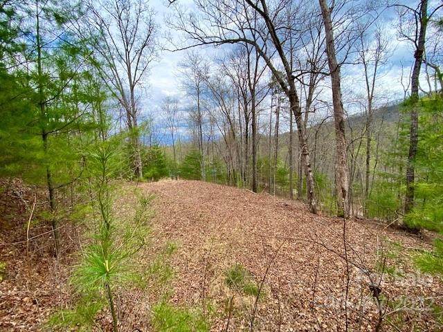 00 Village Cove Drive - Photo 1