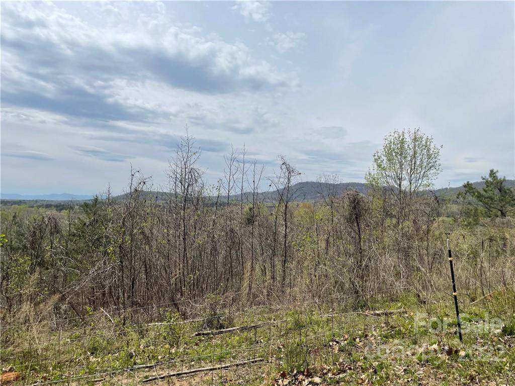 944 Calton Road - Photo 1