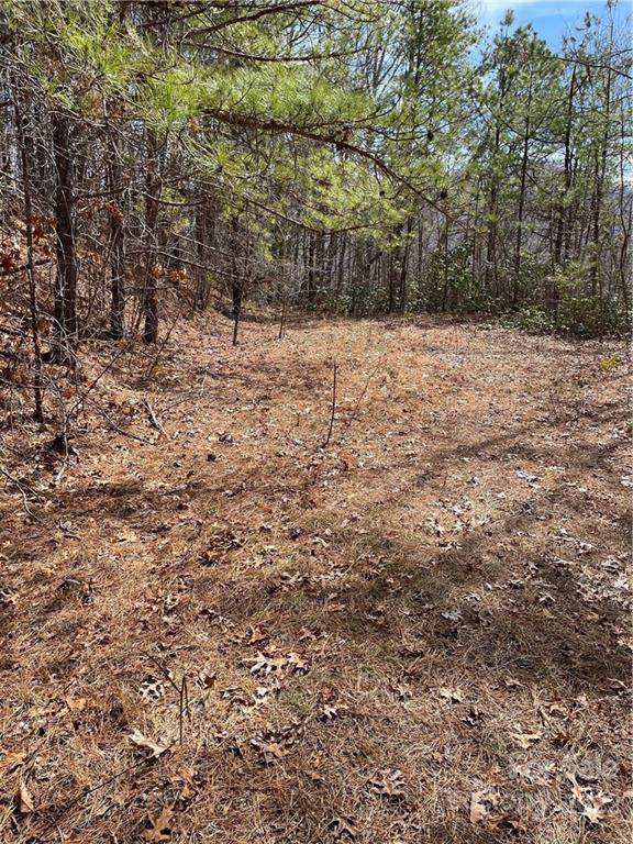822 Quest Ridge - Photo 1
