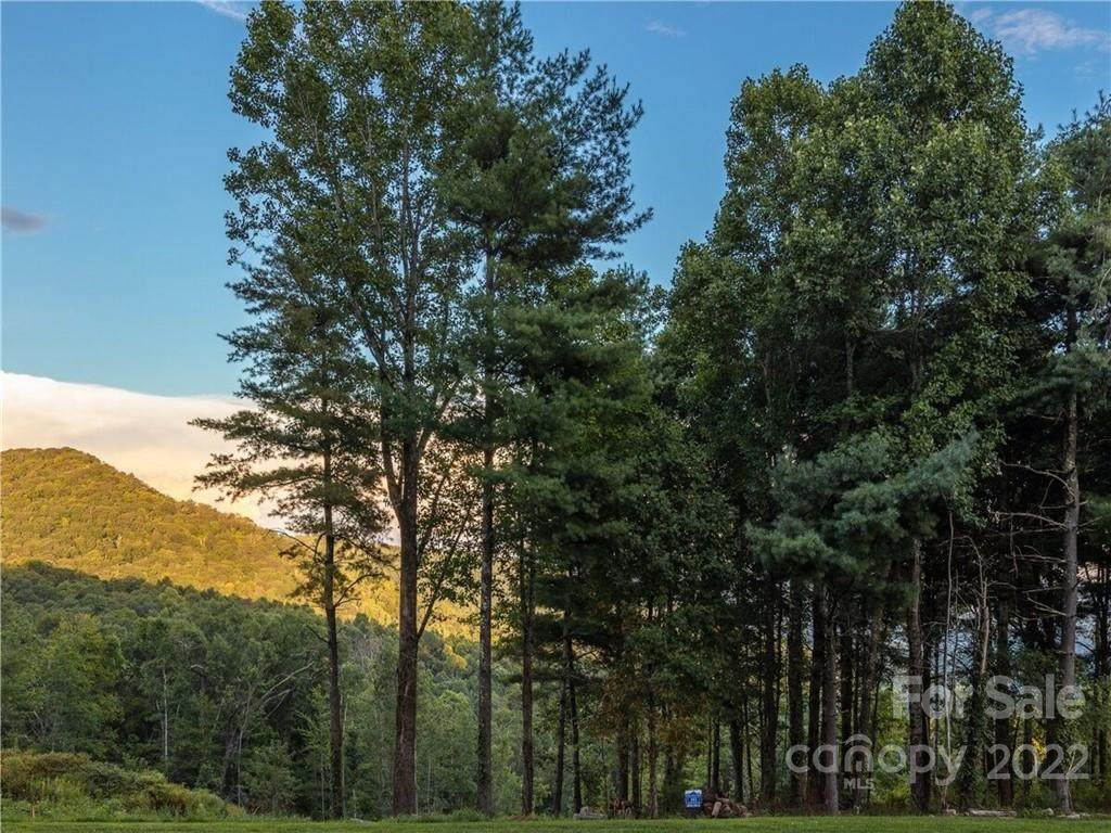 LOT 183 Dancing Bear Drive - Photo 1