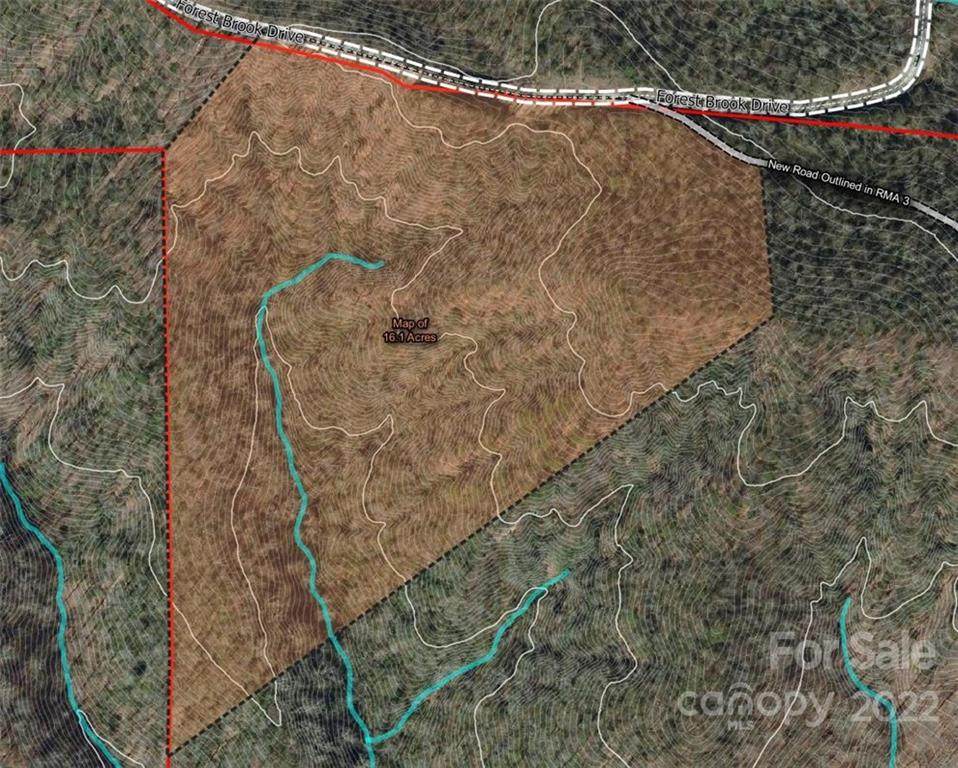 16.1 Acres Forest Brook Drive - Photo 1