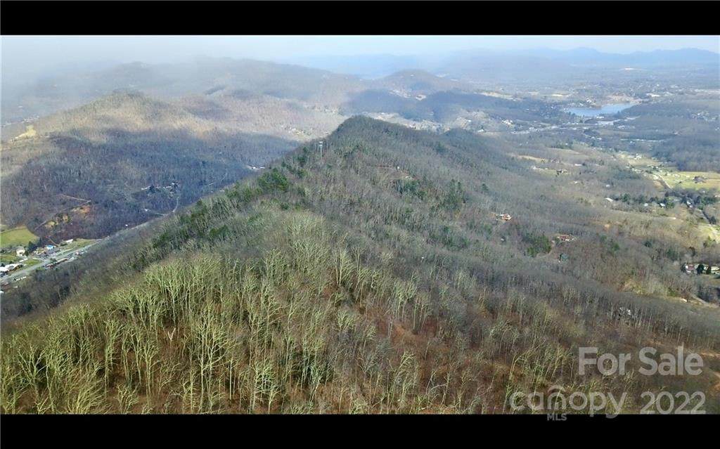000 Mauney Cove Road - Photo 1