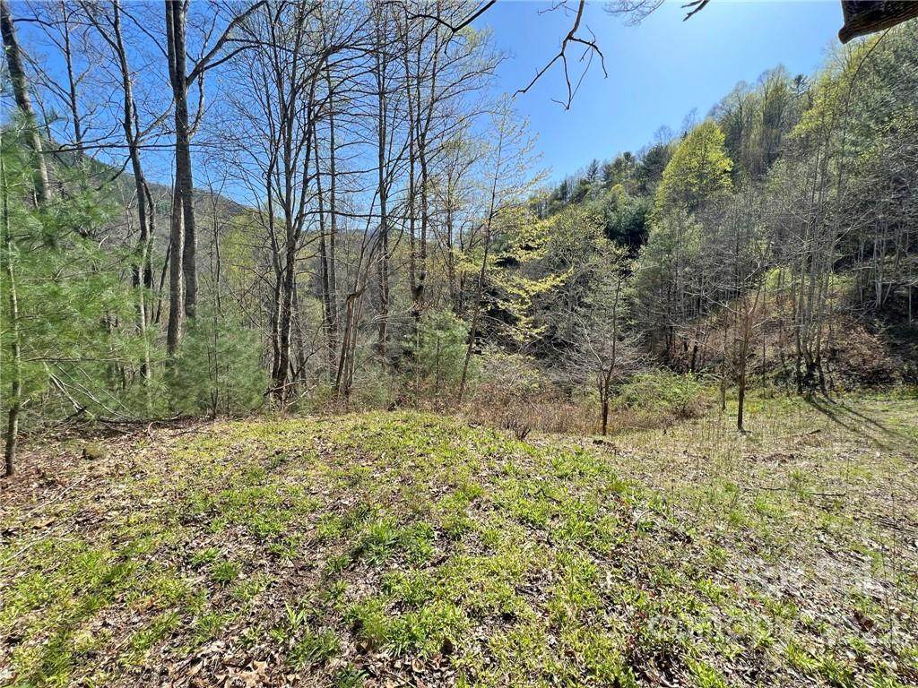 2488 Meadow Fork Road - Photo 1