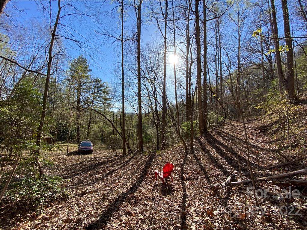 900 Bradley Branch Road - Photo 1