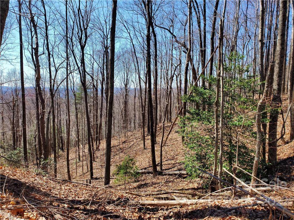 7973 Highway 16 Highway - Photo 1