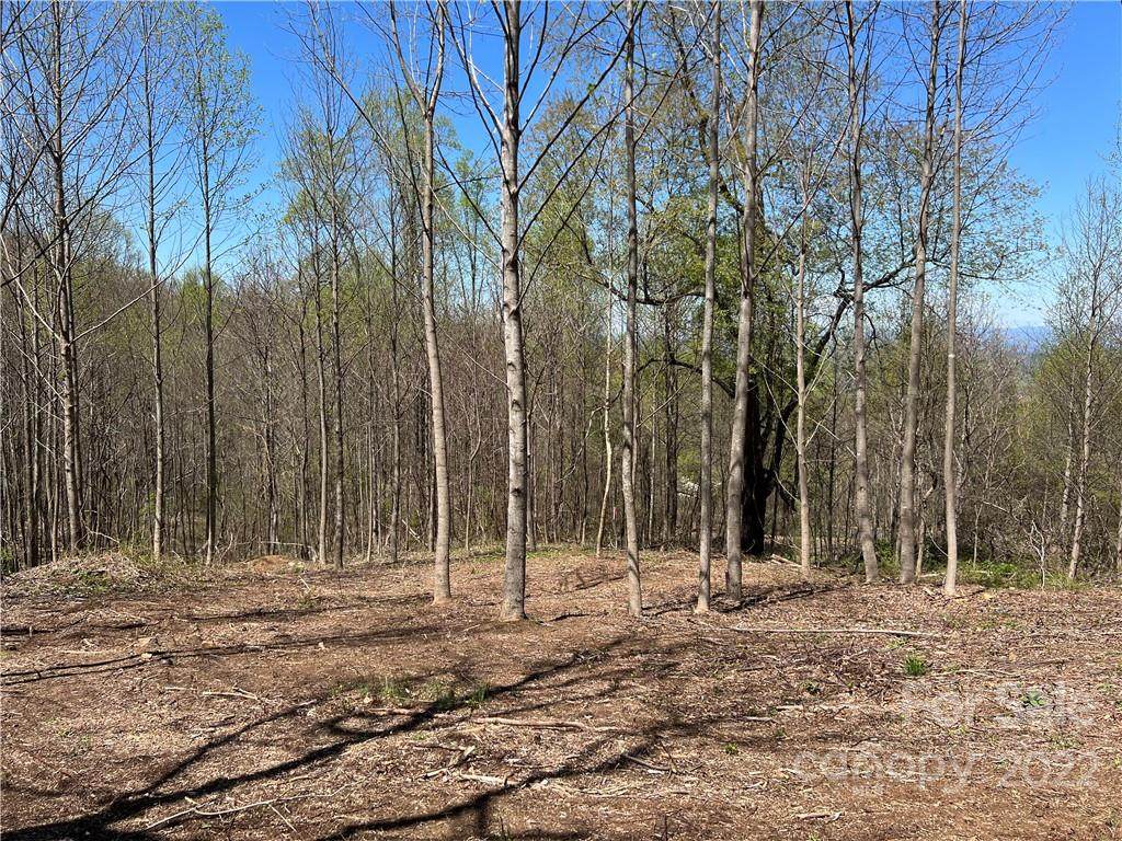 153 View Ridge Parkway - Photo 1